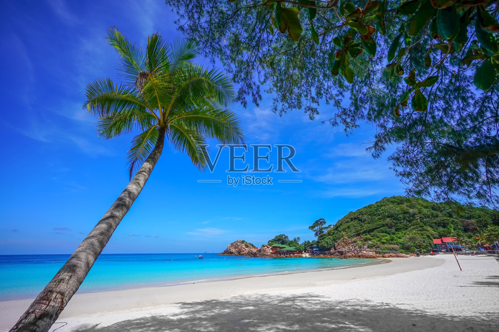 马来西亚热浪岛的椰树和蓝色海滩照片摄影图片