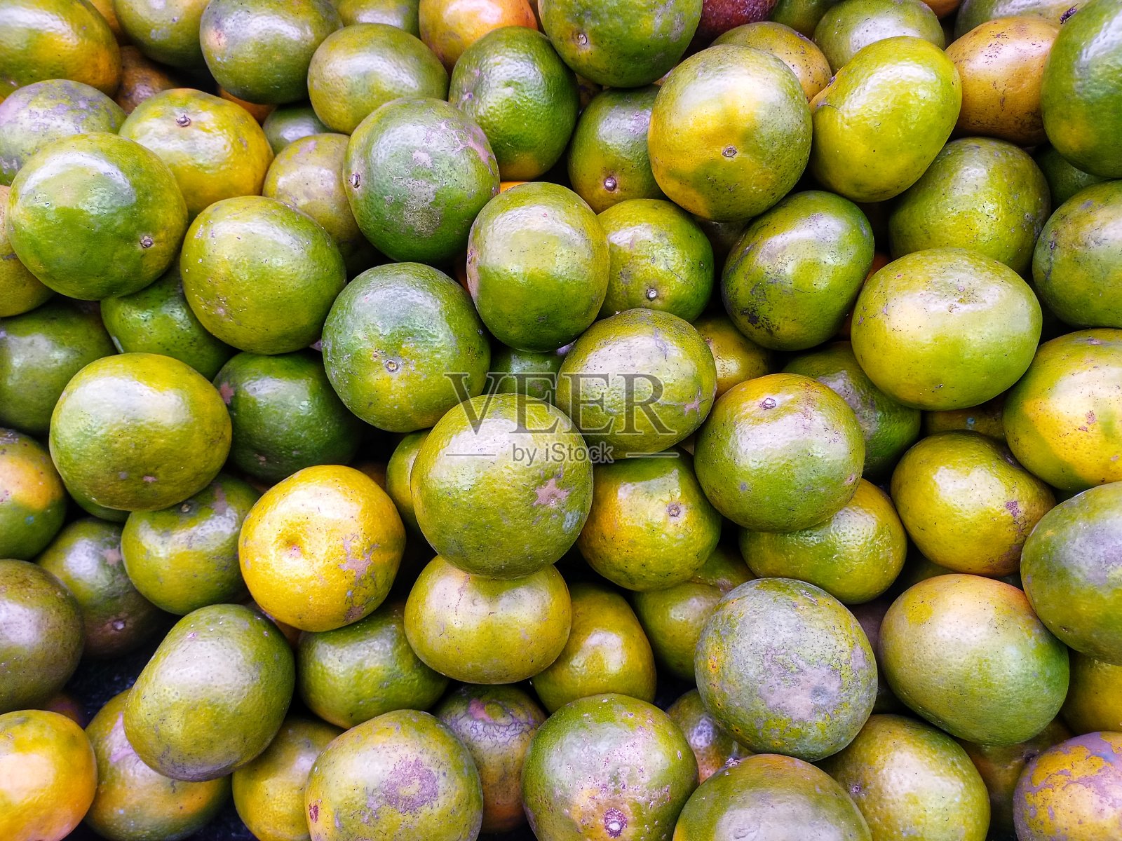 的橙子照片摄影图片