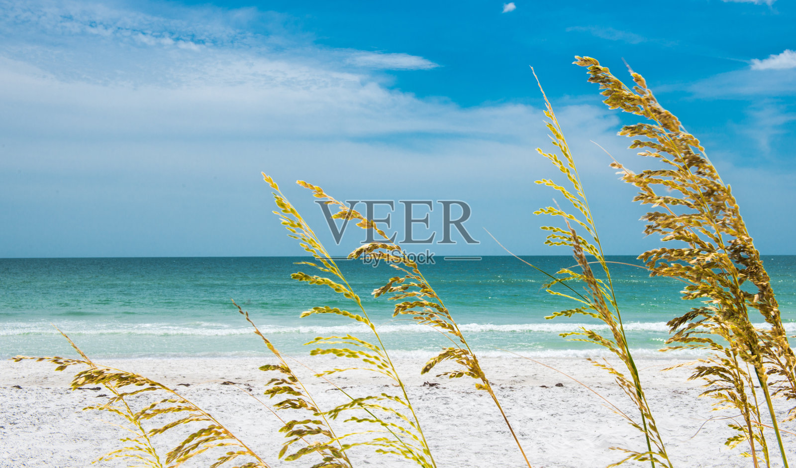 海湾海滩照片摄影图片