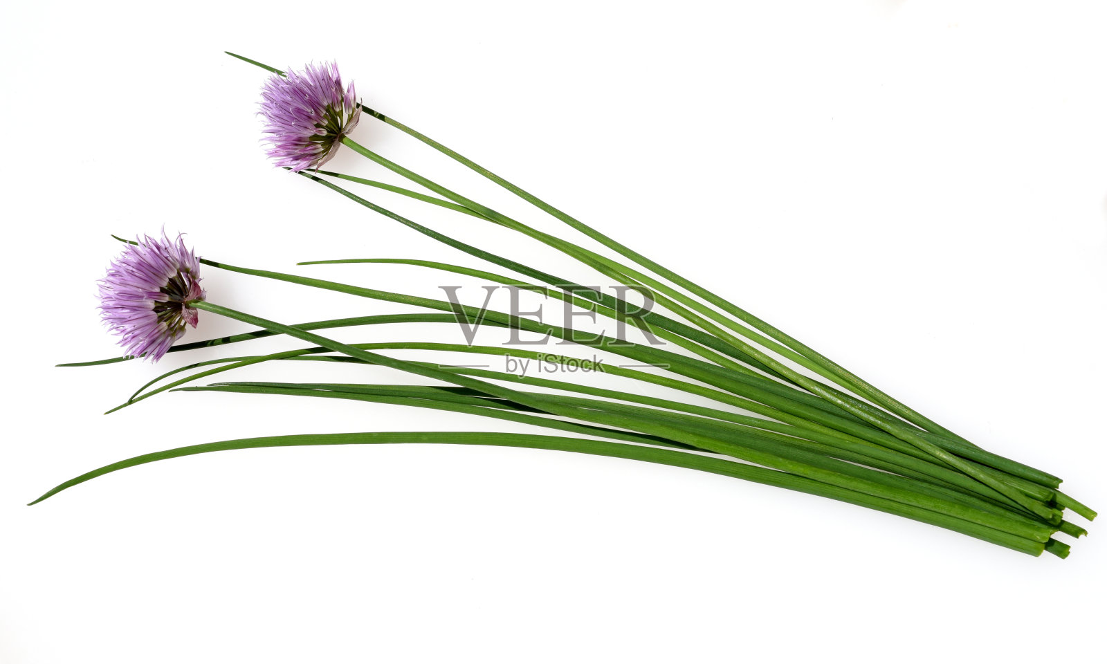 阿利姆 ·肖诺普拉苏姆照片摄影图片