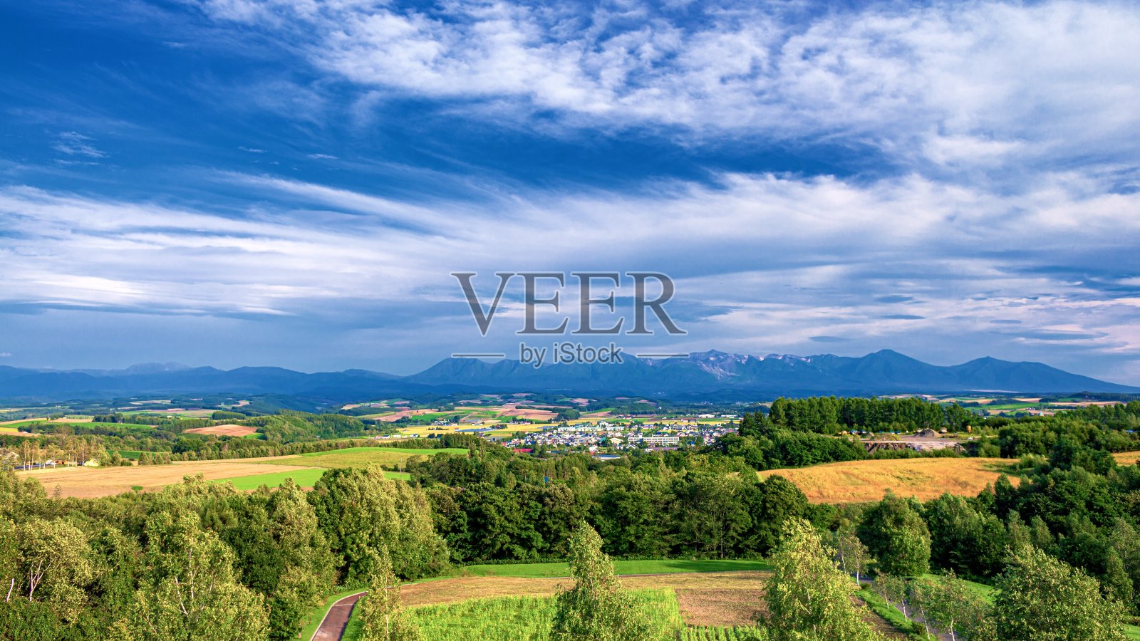 日本北海道县富野市的夏日美景照片摄影图片