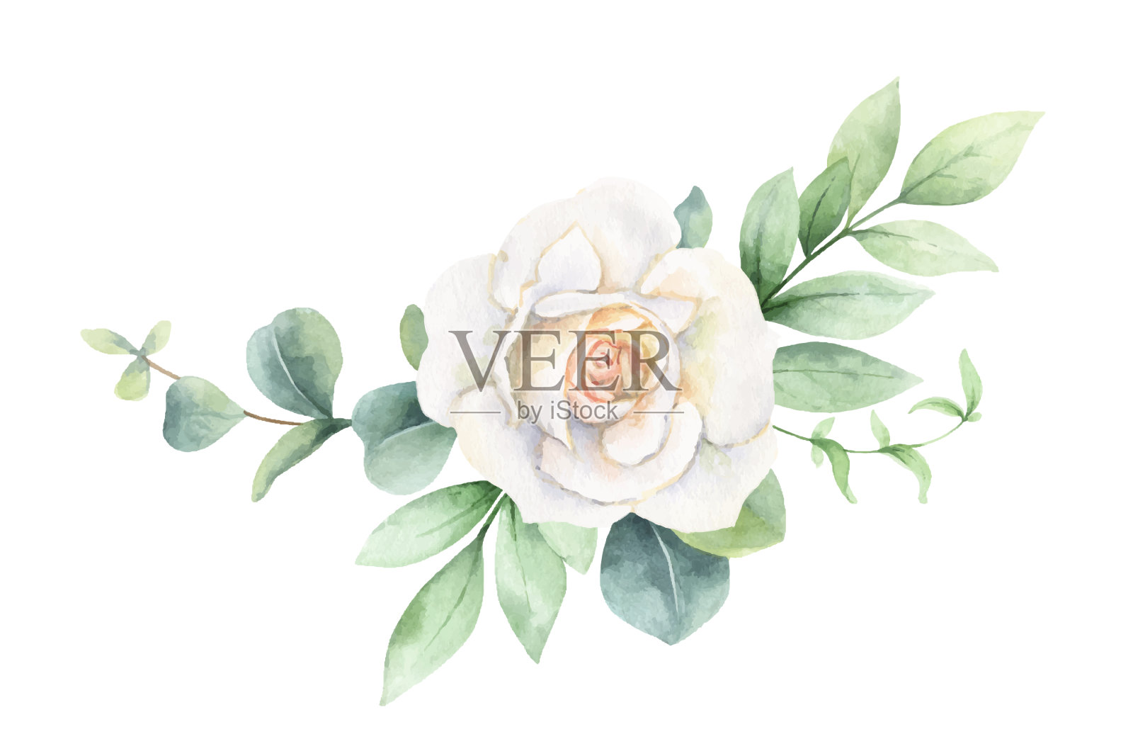 水彩花环绿枝和设计元素图片