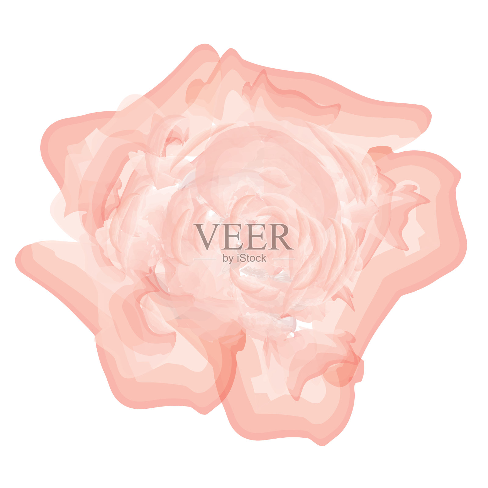 手绘矢量插图花。标志设计元素为夏季系列。设计明信片和请柬的元素插画图片素材