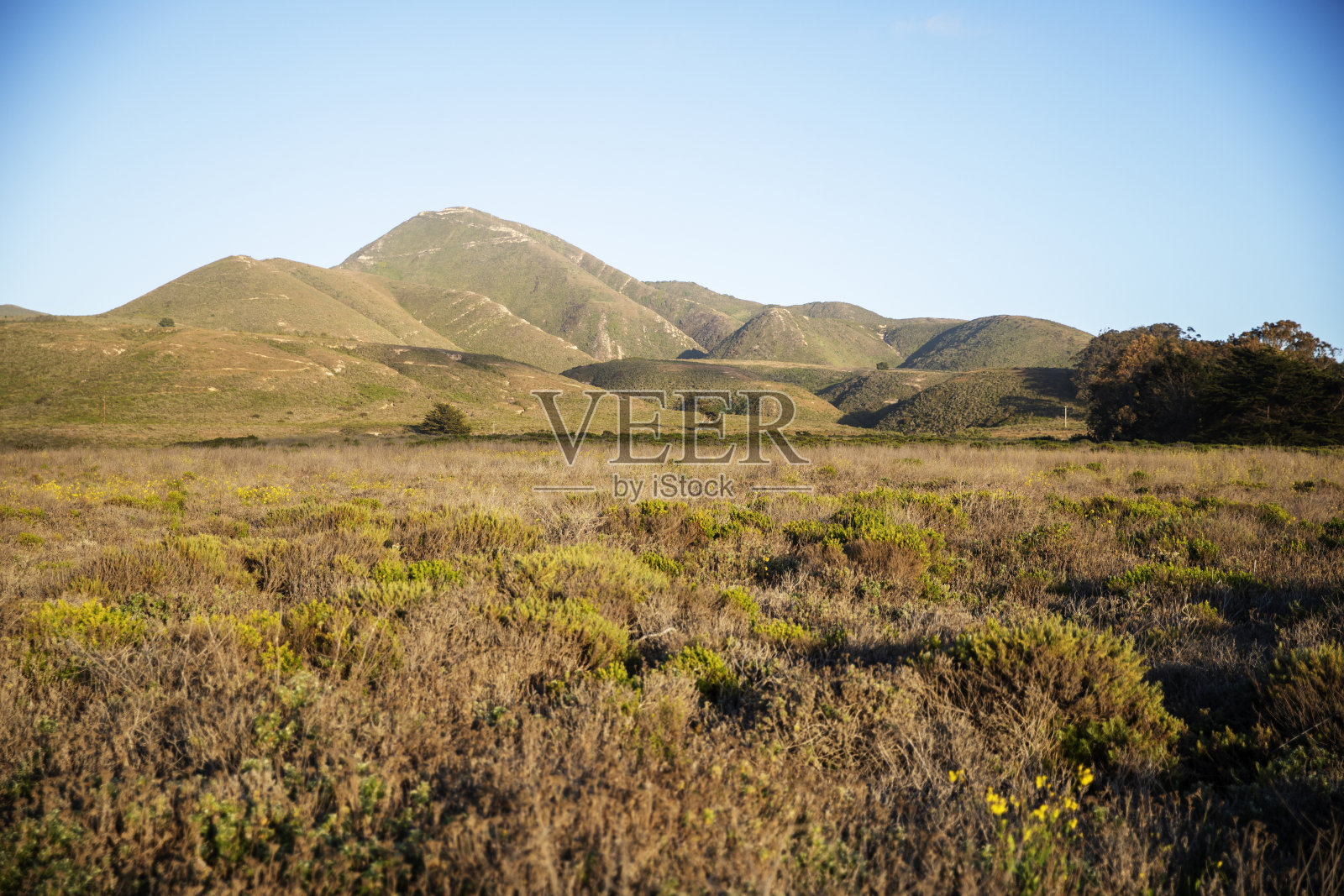 蒙大拿德奥罗州立公园照片摄影图片
