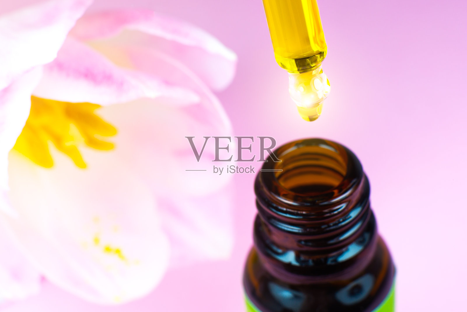 粉色郁金香靠近化妆品油瓶和移液管在粉红色的背景。闭上液滴滴落。美容、医药、保健理念。宏观照片。自然,生态化妆品。照片摄影图片