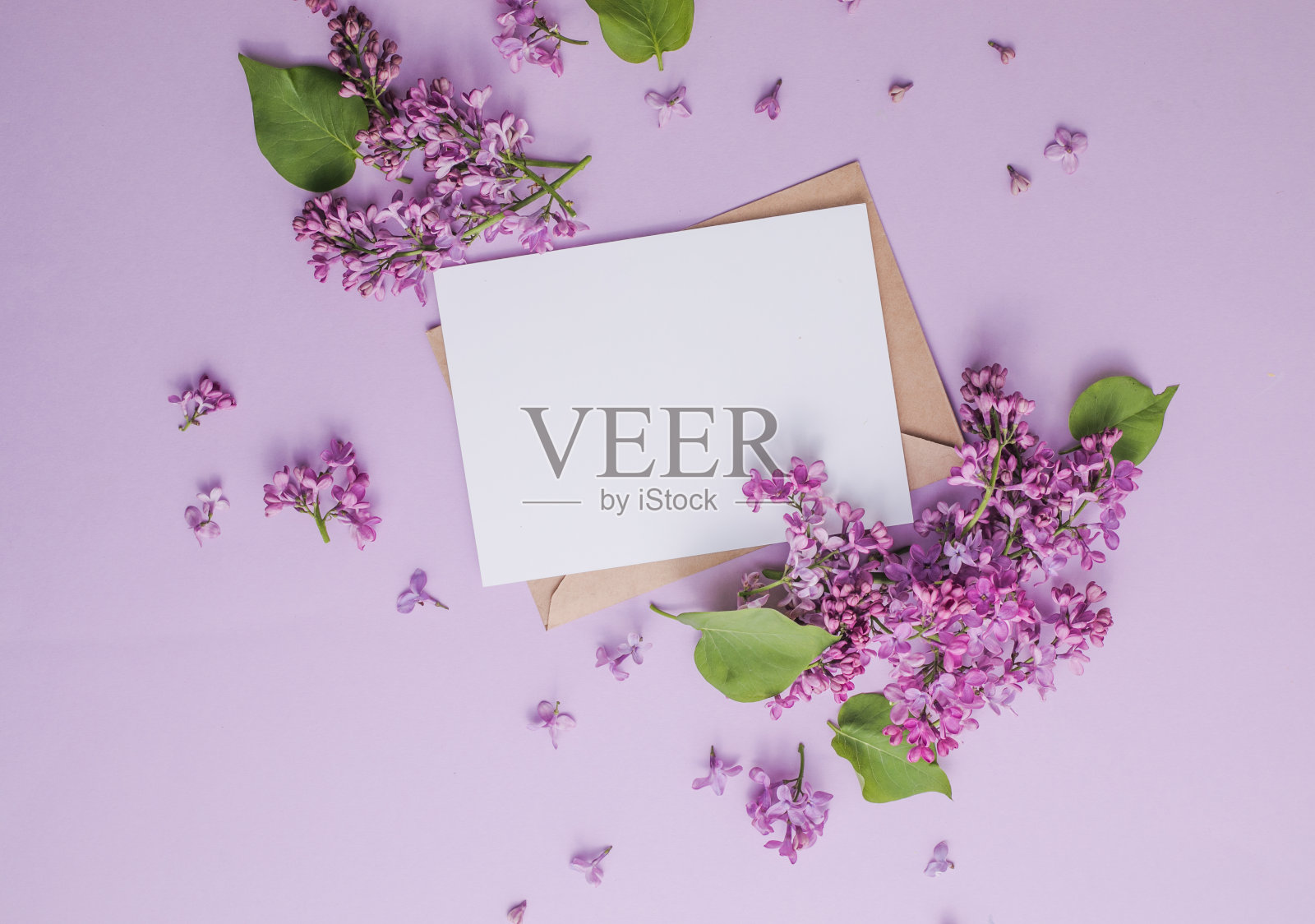 花紫丁香在丁香花和空白纸卡片的文字信息。前视图。浪漫的花朵组成。模拟框架与丁香花在紫色的背景照片摄影图片