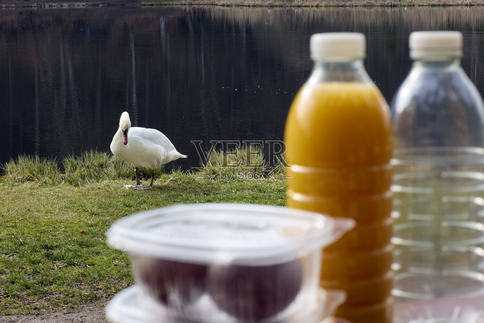 享受着湖照片摄影图片