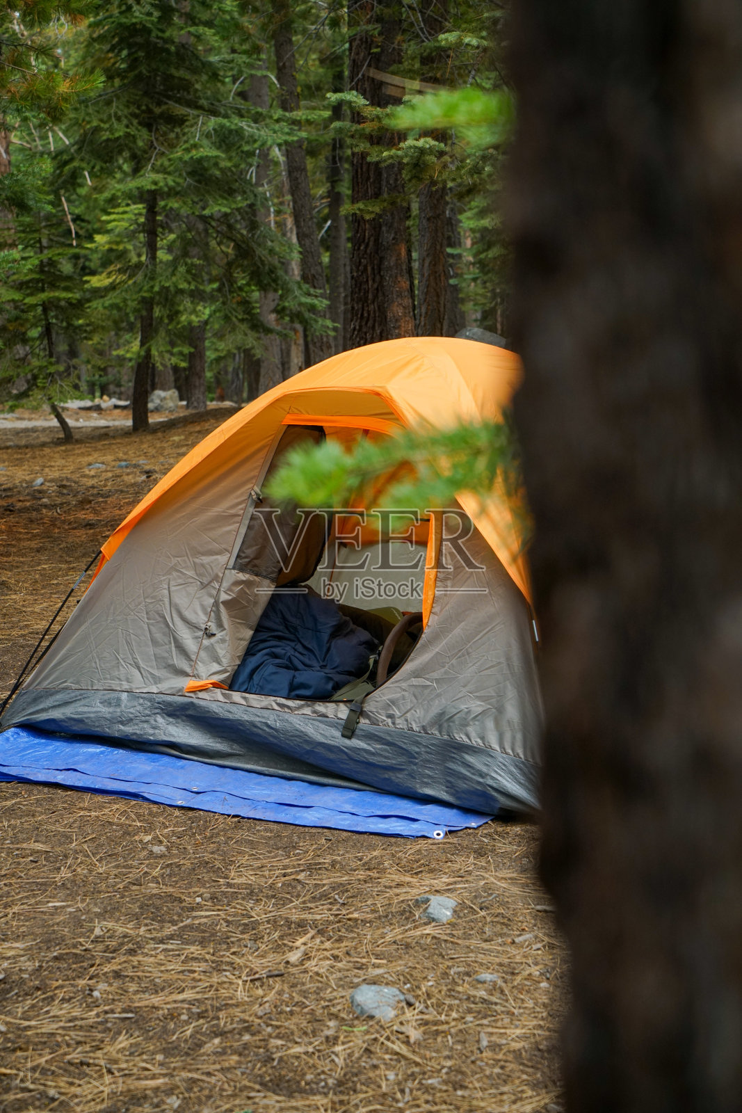 在南太浩湖搭帐篷照片摄影图片