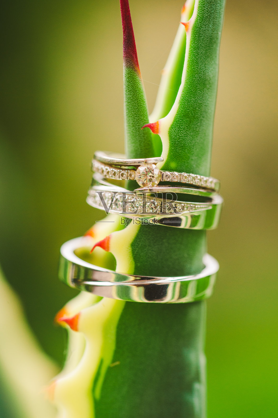 结婚和订婚戒指照片摄影图片