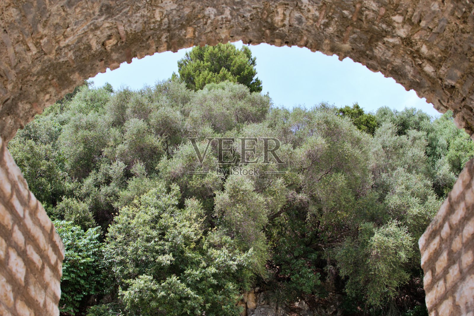 地中海的绿色森林。阿尔巴尼亚的布特林特古城照片摄影图片