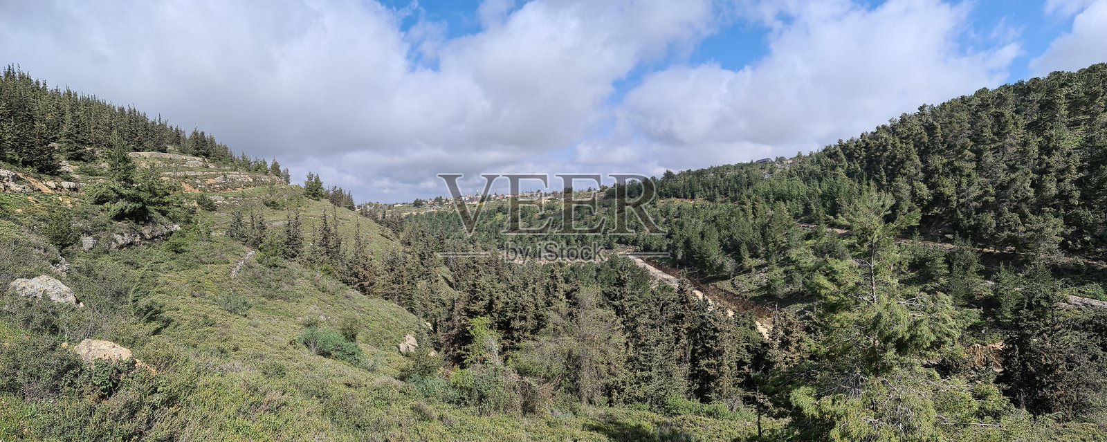 以色列巴特艾因附近的古什埃齐翁全景照片摄影图片