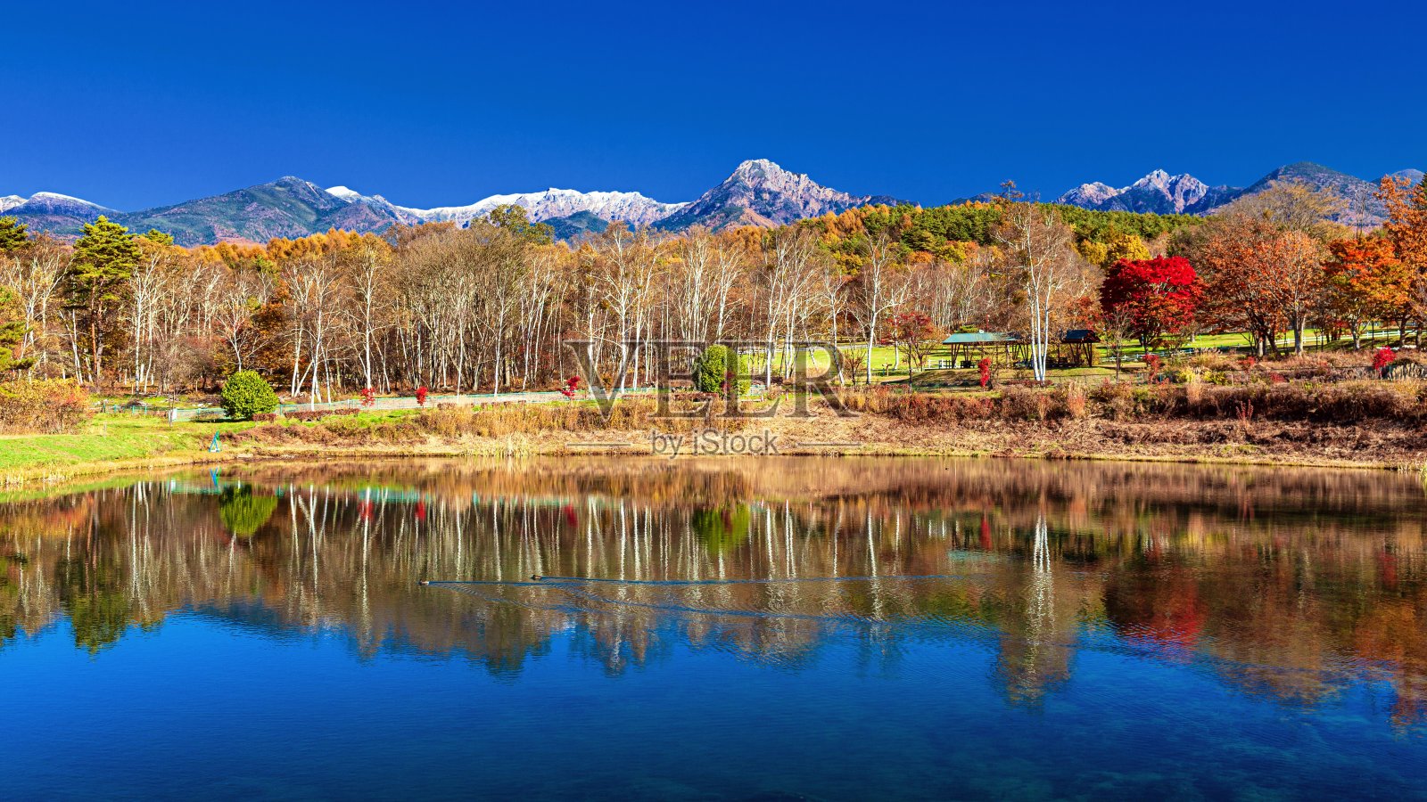日本长野县丸谷湖上的秋景照片摄影图片