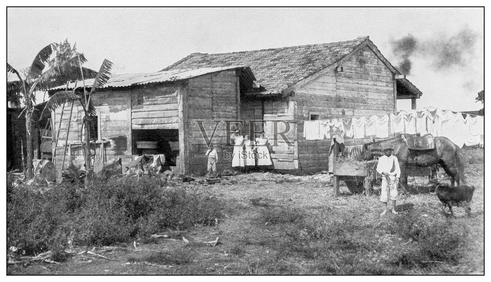 古董黑白照片:青年岛照片摄影图片