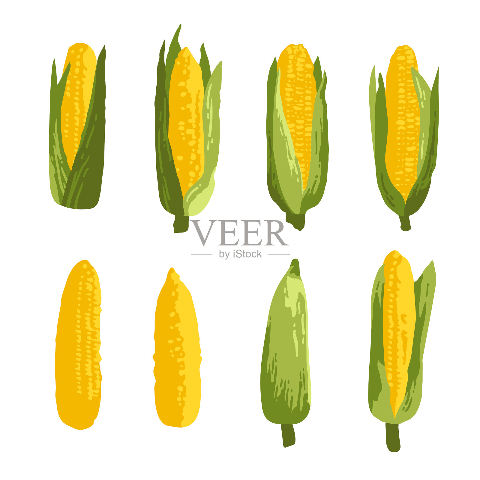 夏天集甜玉米和叶子孤立插画图片素材