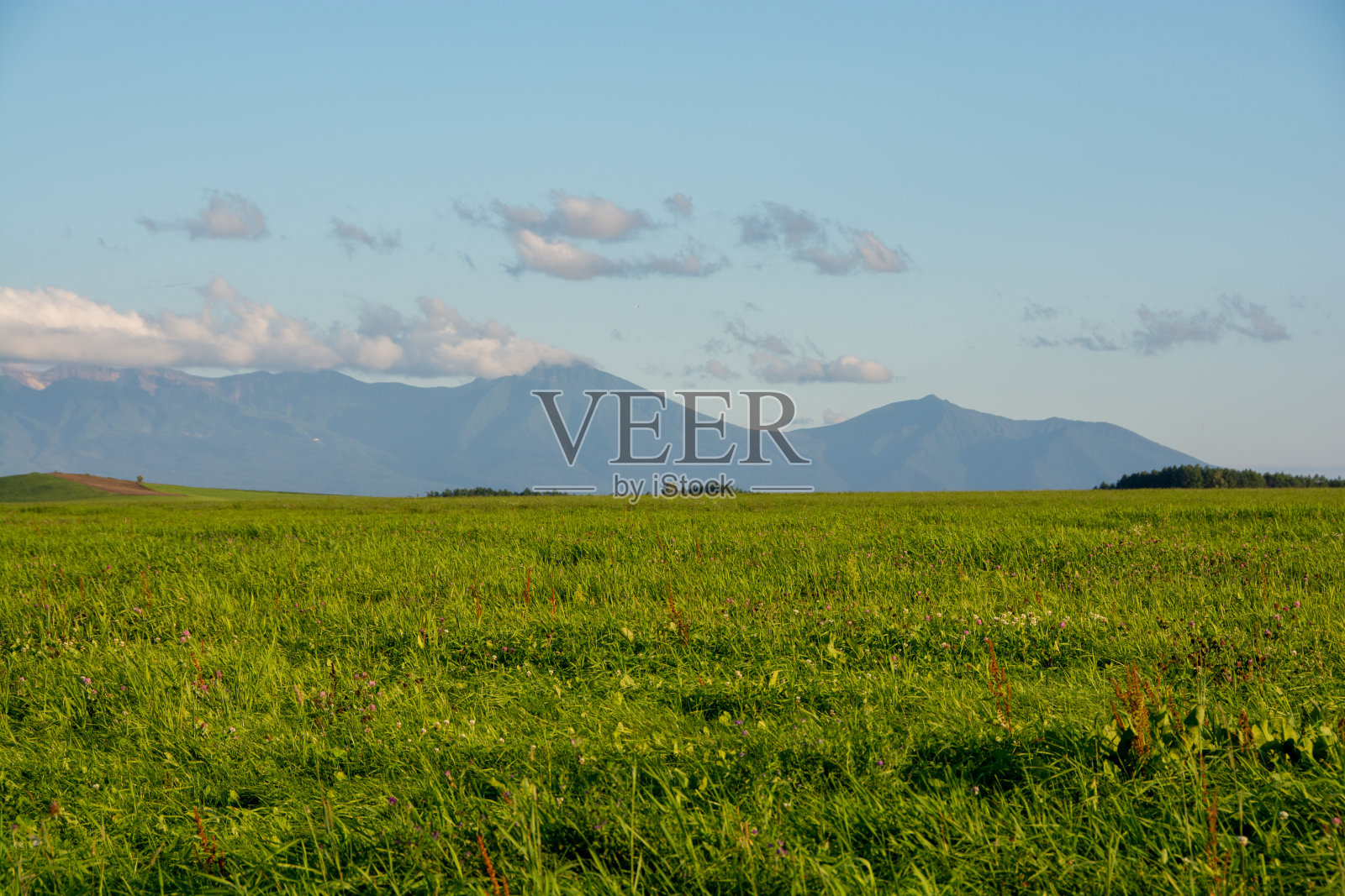 夏季草地和山脉照片摄影图片
