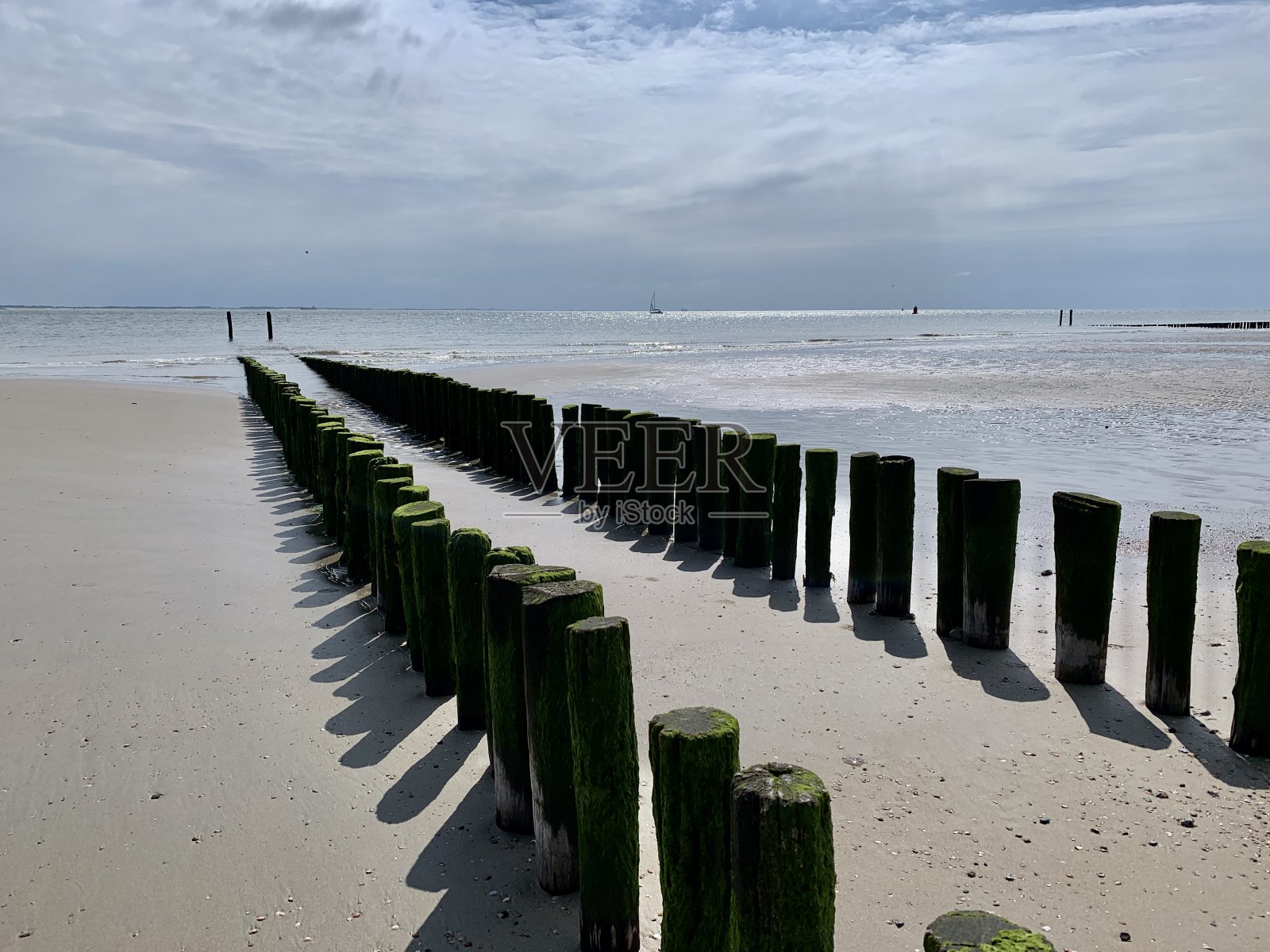 Zeeuws Vlaanderen的防波堤照片摄影图片
