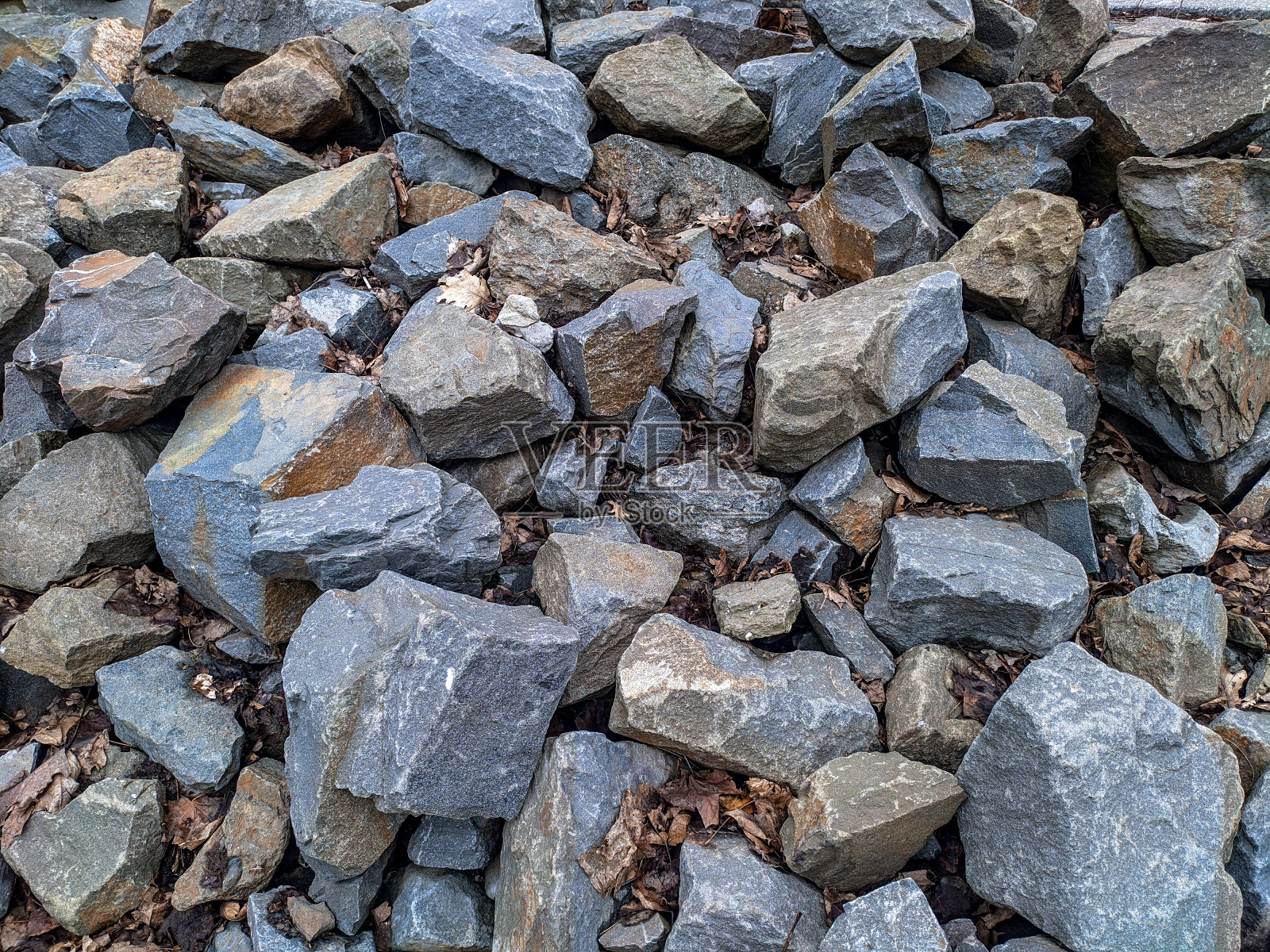 它们之间有很多石头和落叶。碎岩石。照片摄影图片