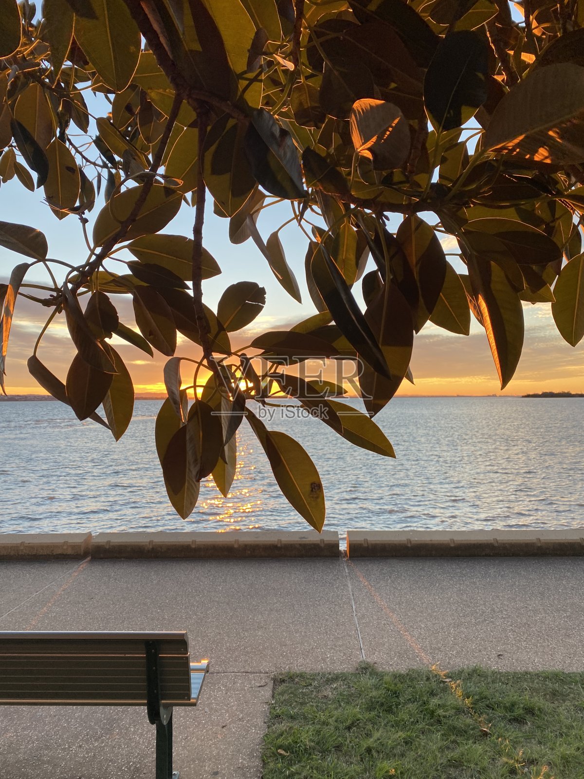 眺望大海和公园长椅照片摄影图片