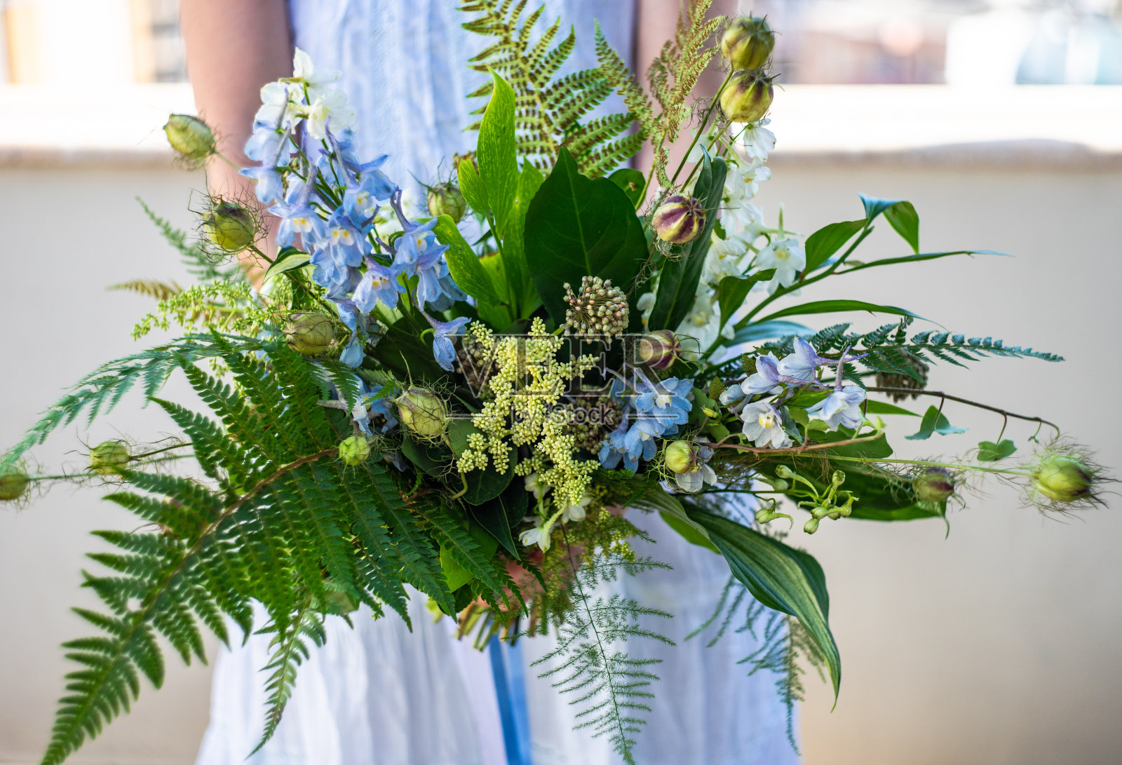 夏天的花组成照片摄影图片