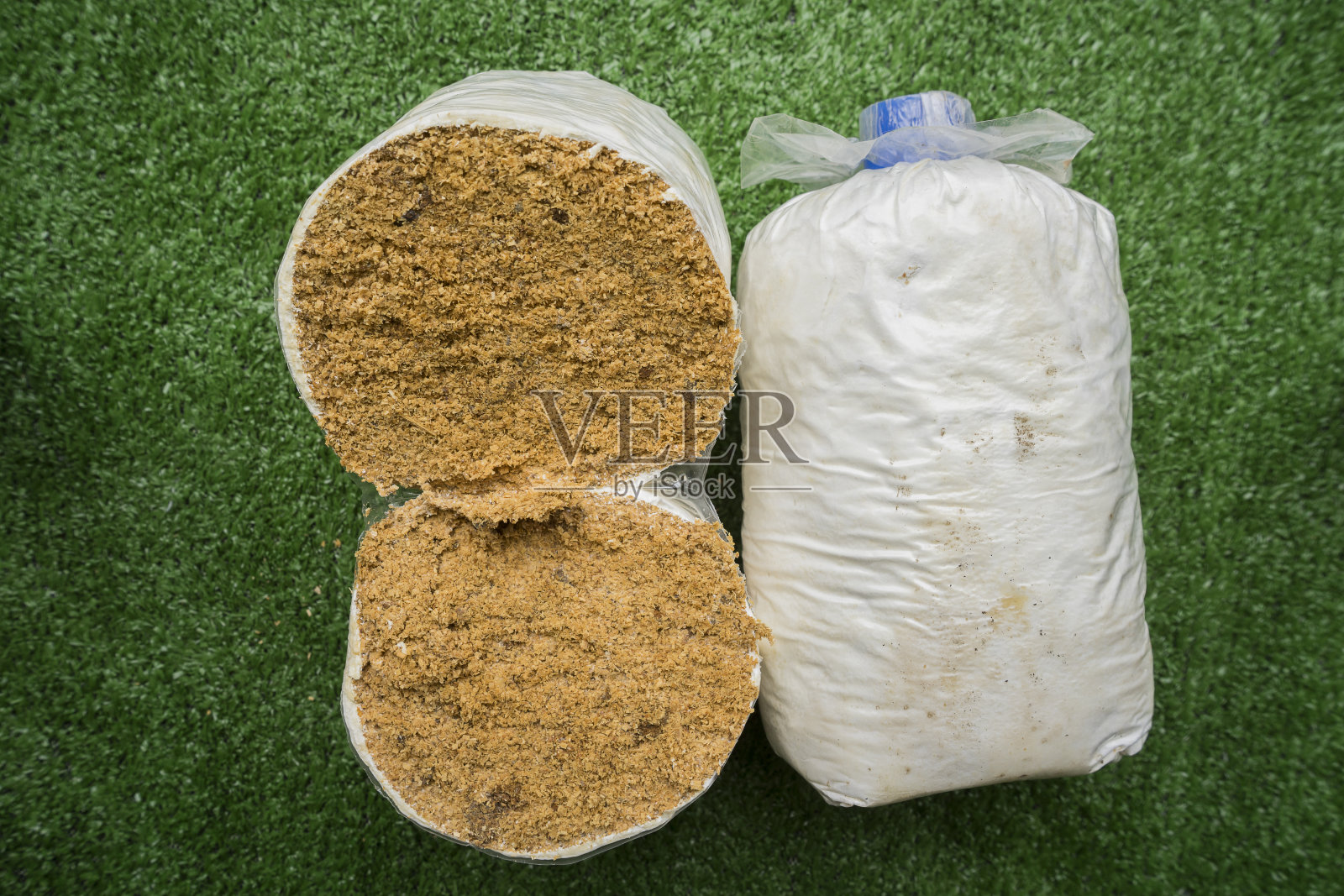 在绿色的人造草地上,在农场蘑菇立方体中生长的平菇块。照片摄影图片