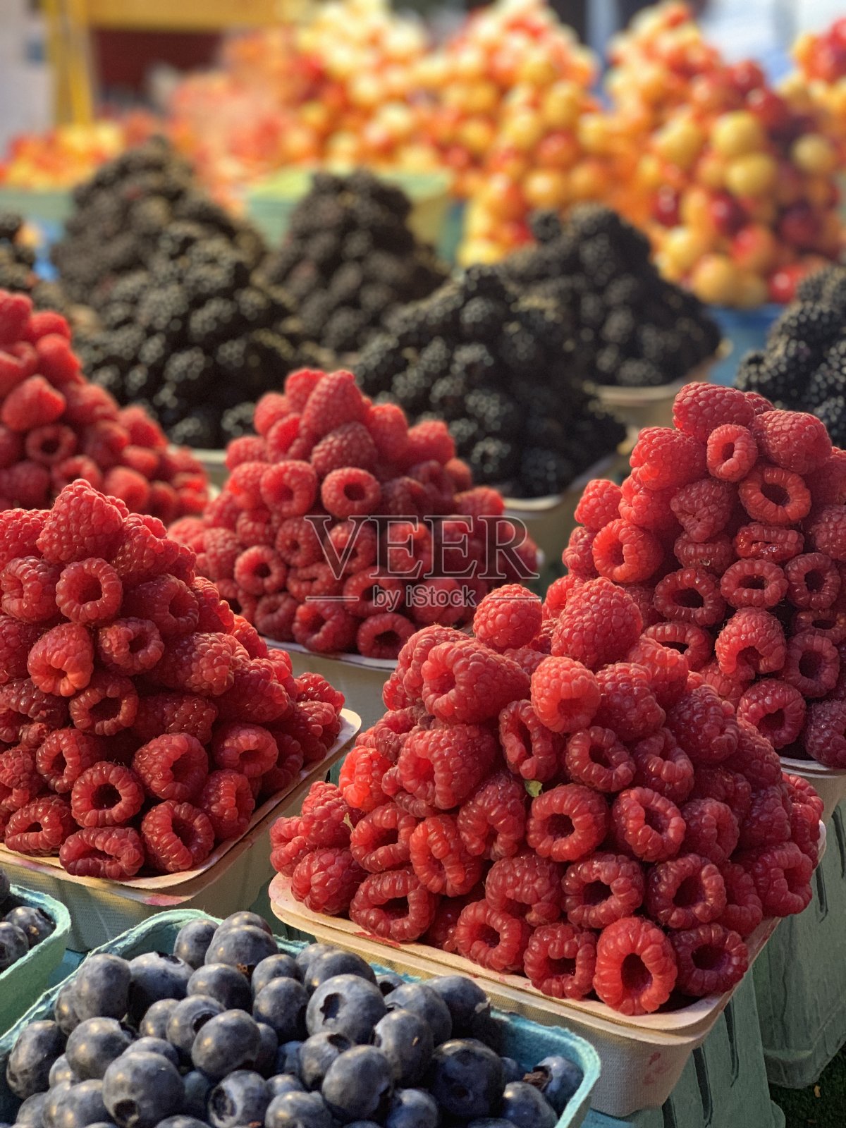 夏日浆果照片摄影图片