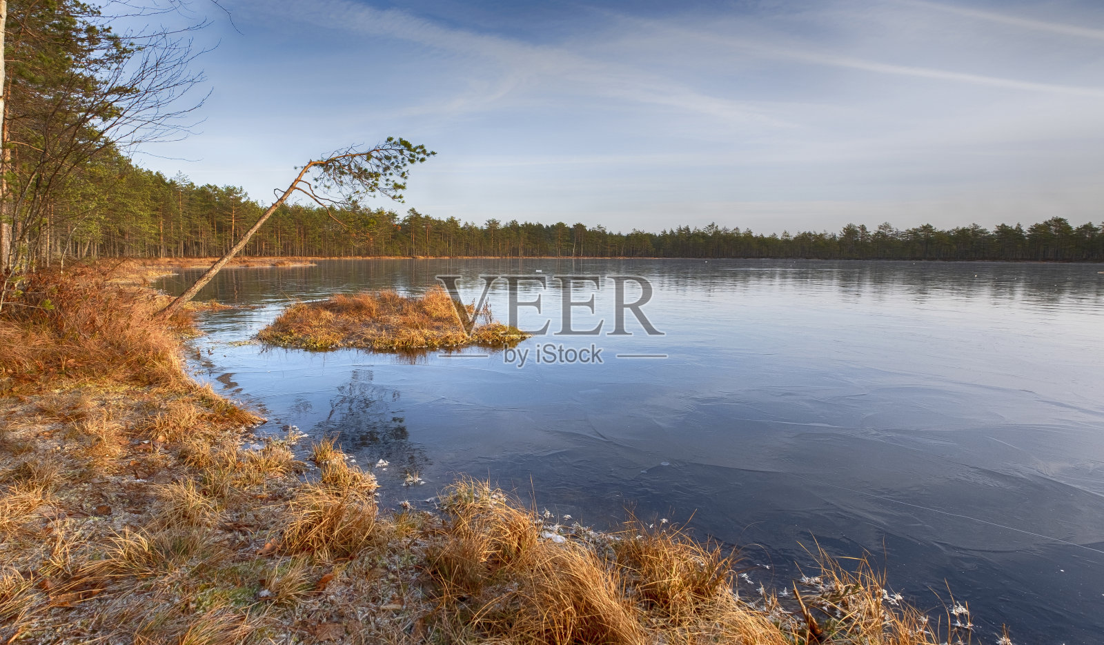 11月的深秋,森林北部湖泊上的第一层透明冰,首次结霜照片摄影图片