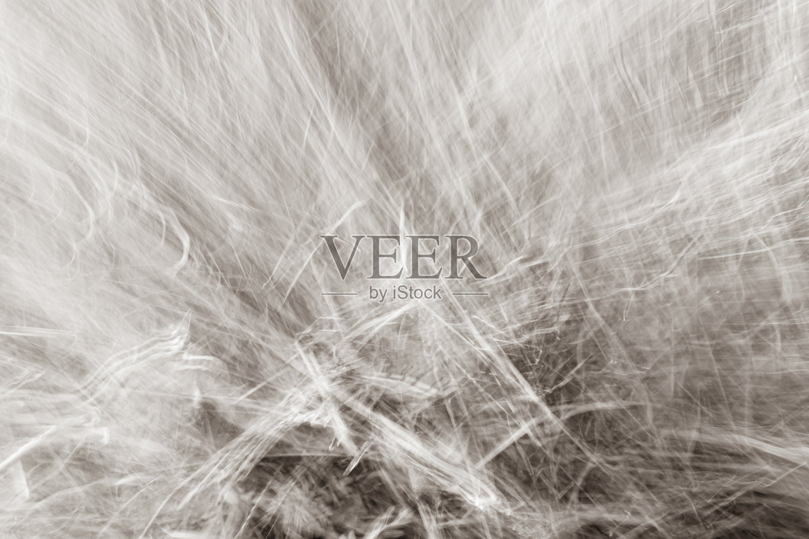 抽象的灰米色背景,蜘蛛网,曲线和高光。照片的效果。照片摄影图片