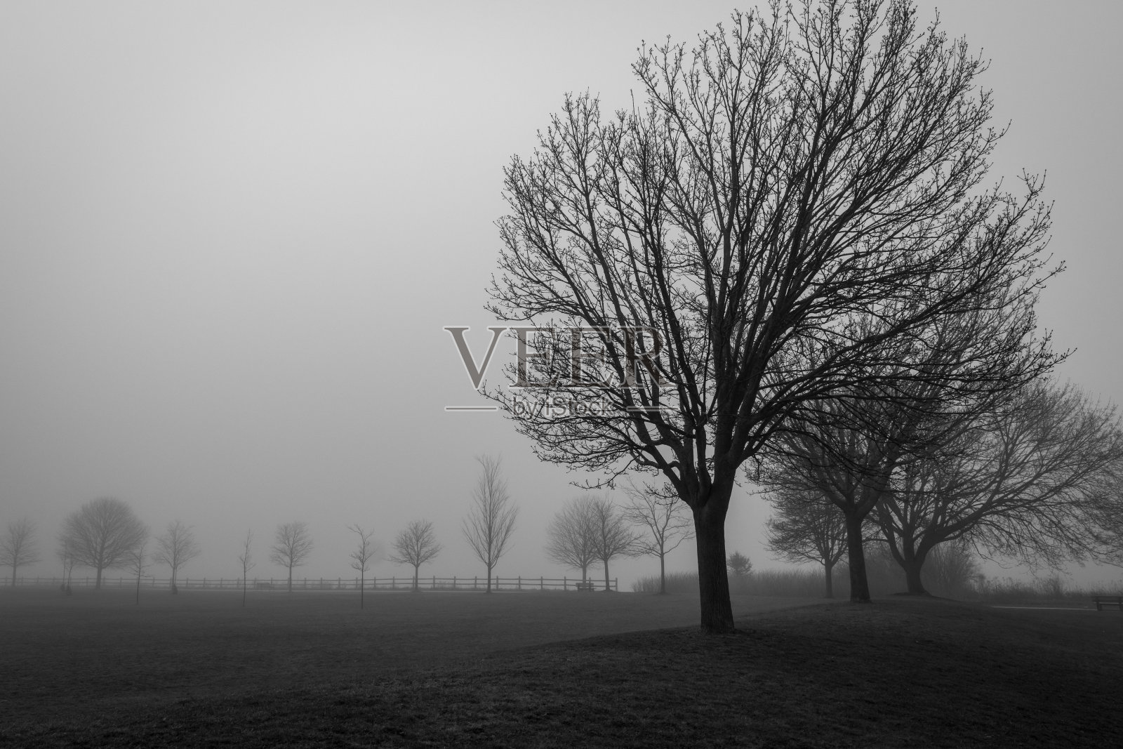 安大略埃杰克斯照片摄影图片