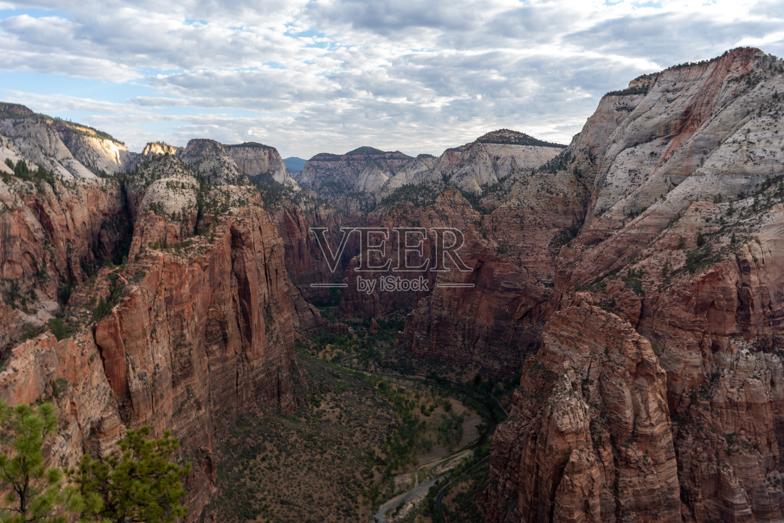 锡安国家公园天使着陆峡谷俯瞰照片摄影图片