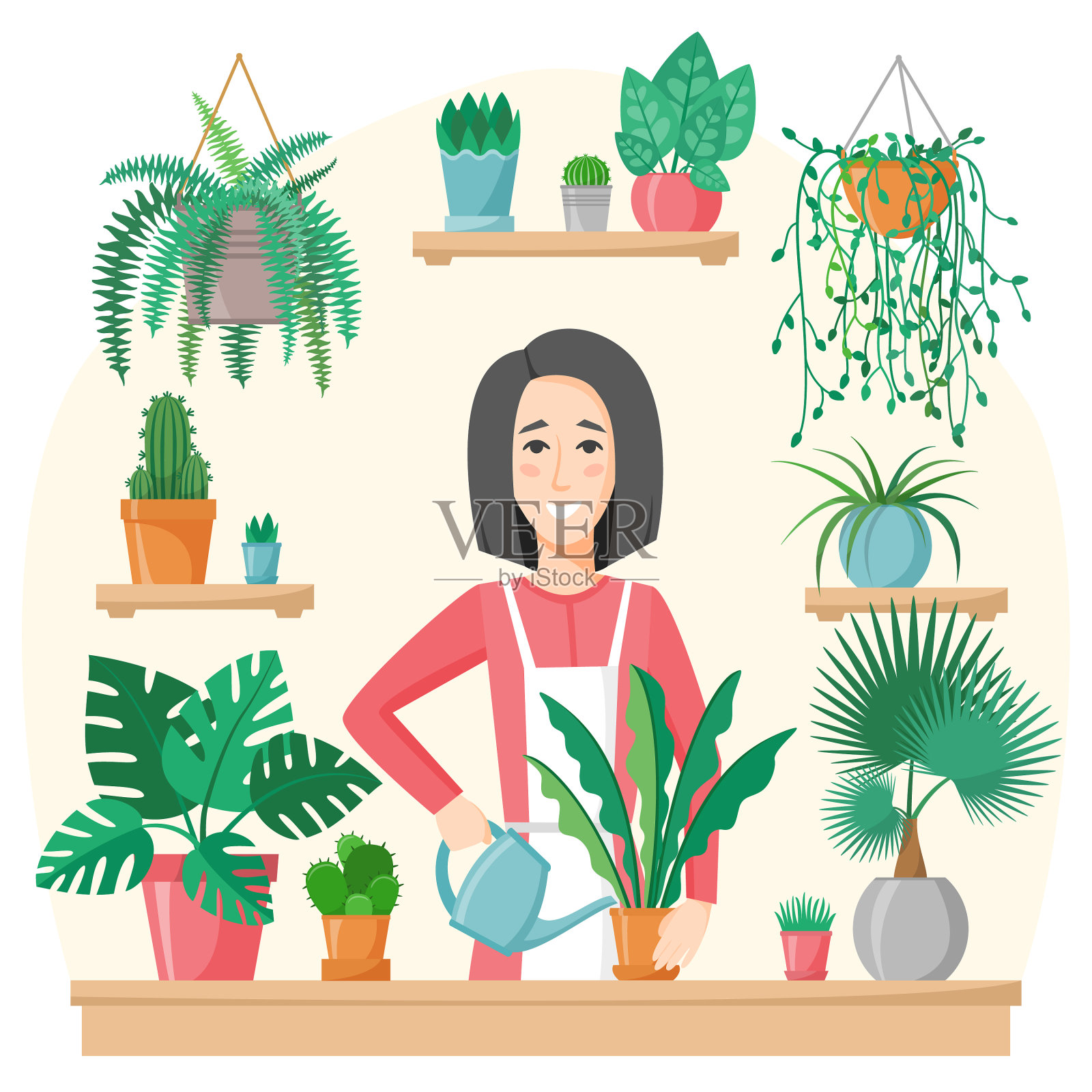 女人浇灌和种植绿色的室内植物插画图片素材