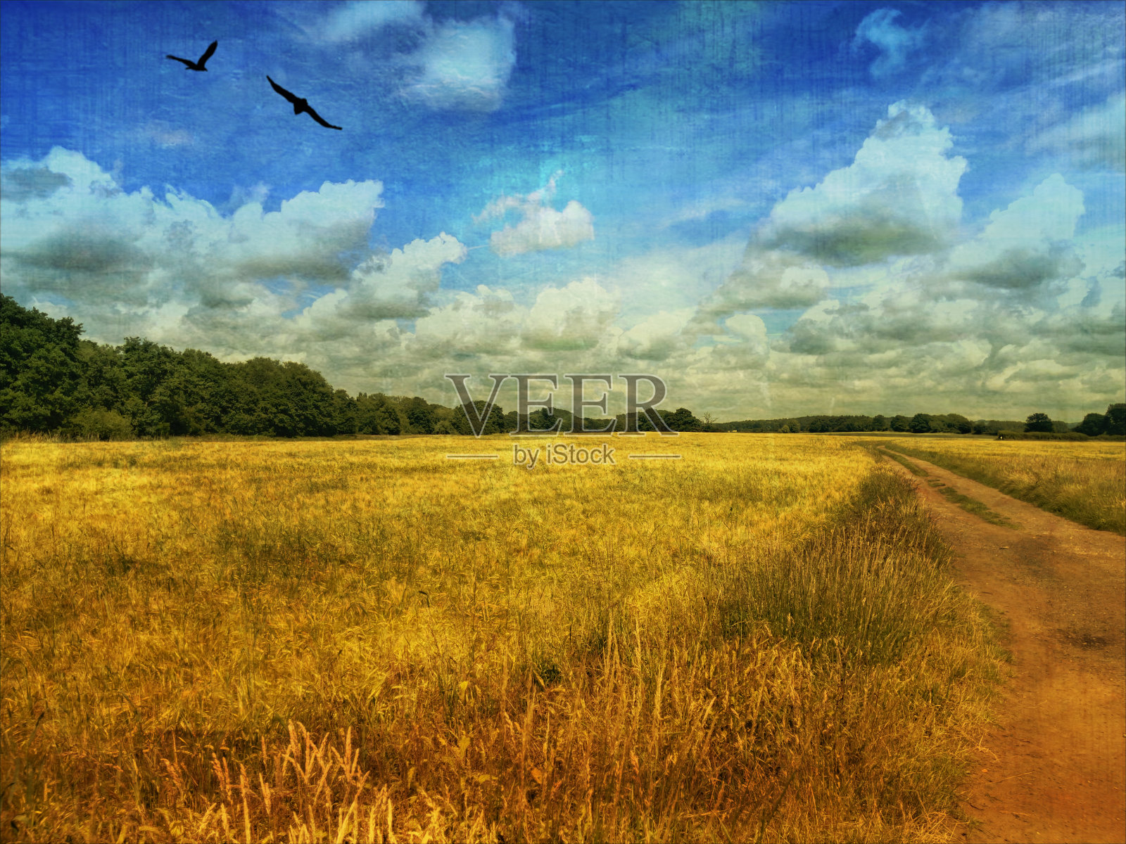 我们的土地照片摄影图片