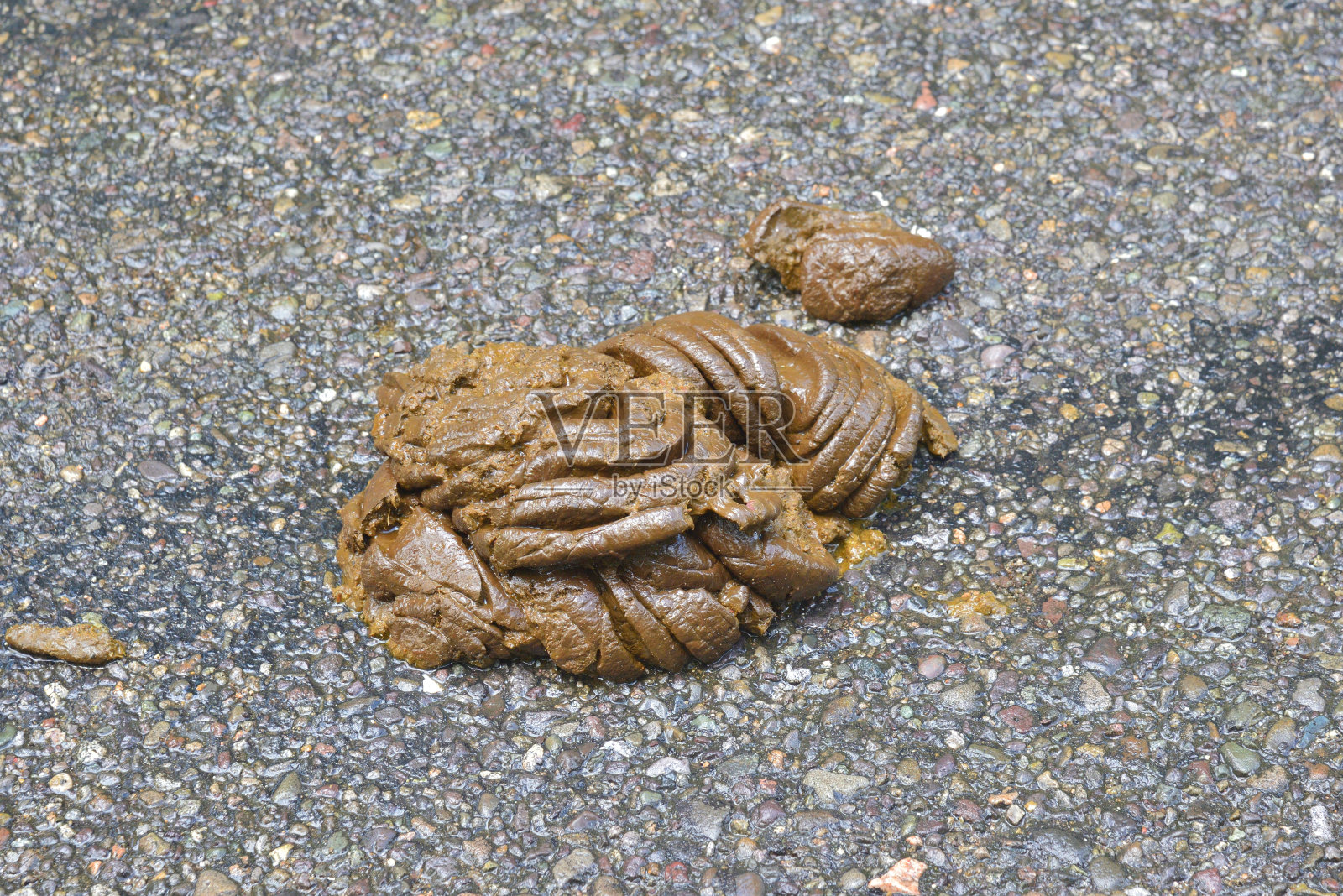 新鲜牙买加牛肉派照片摄影图片