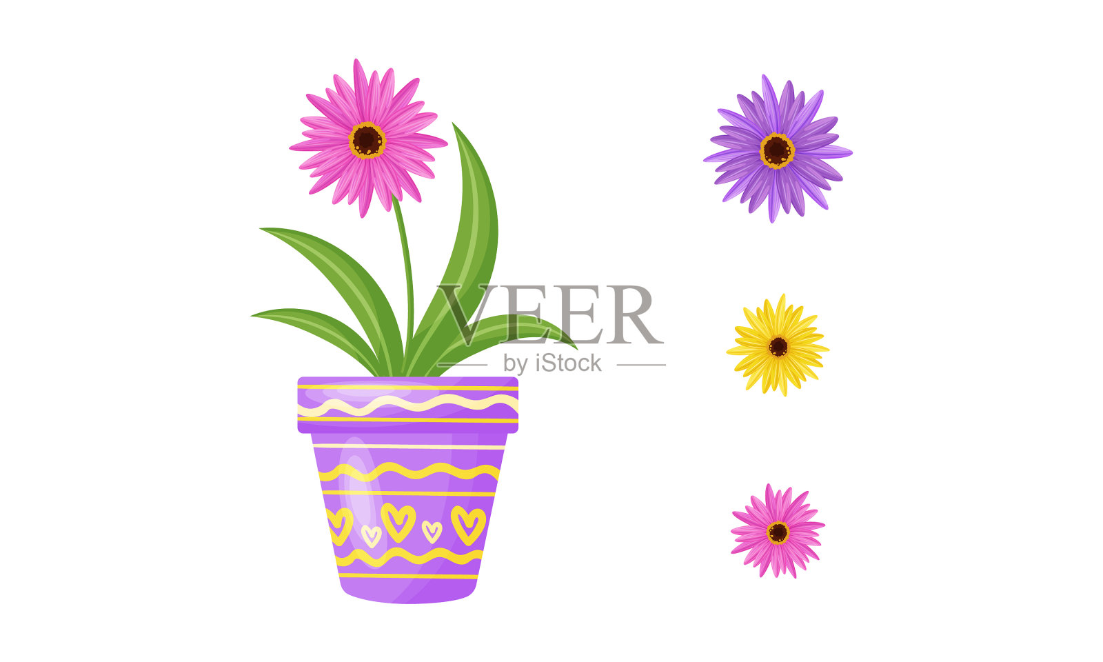 一束花园里的花放在花盆里插画图片素材