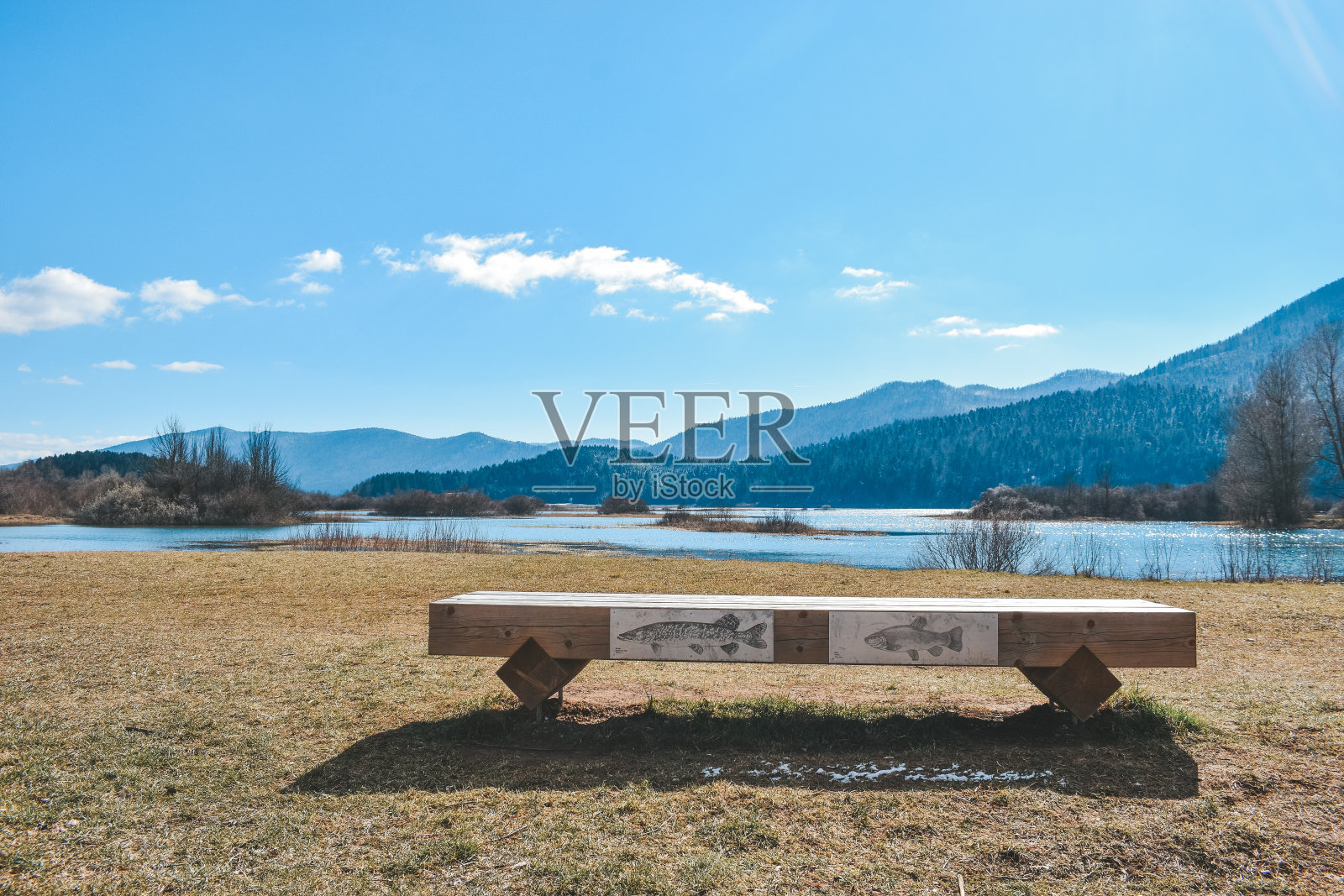 教育长凳与Cerknica湖的景色照片摄影图片