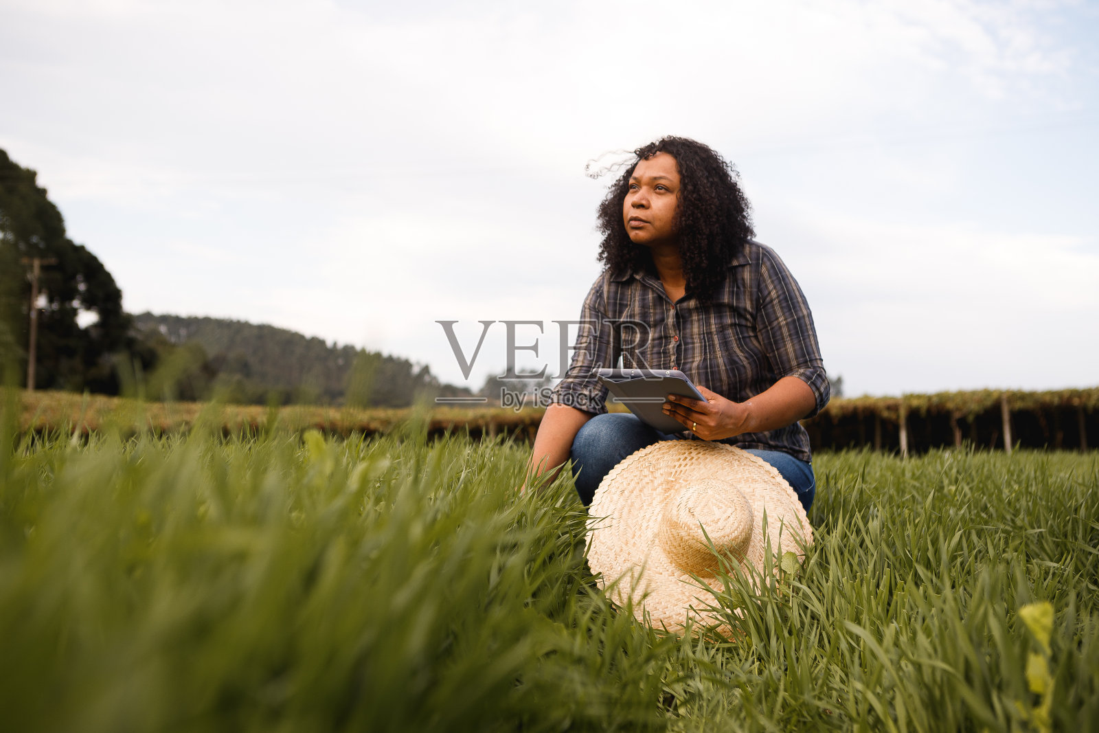 农场工人使用iPad来验证大豆种植数据照片摄影图片