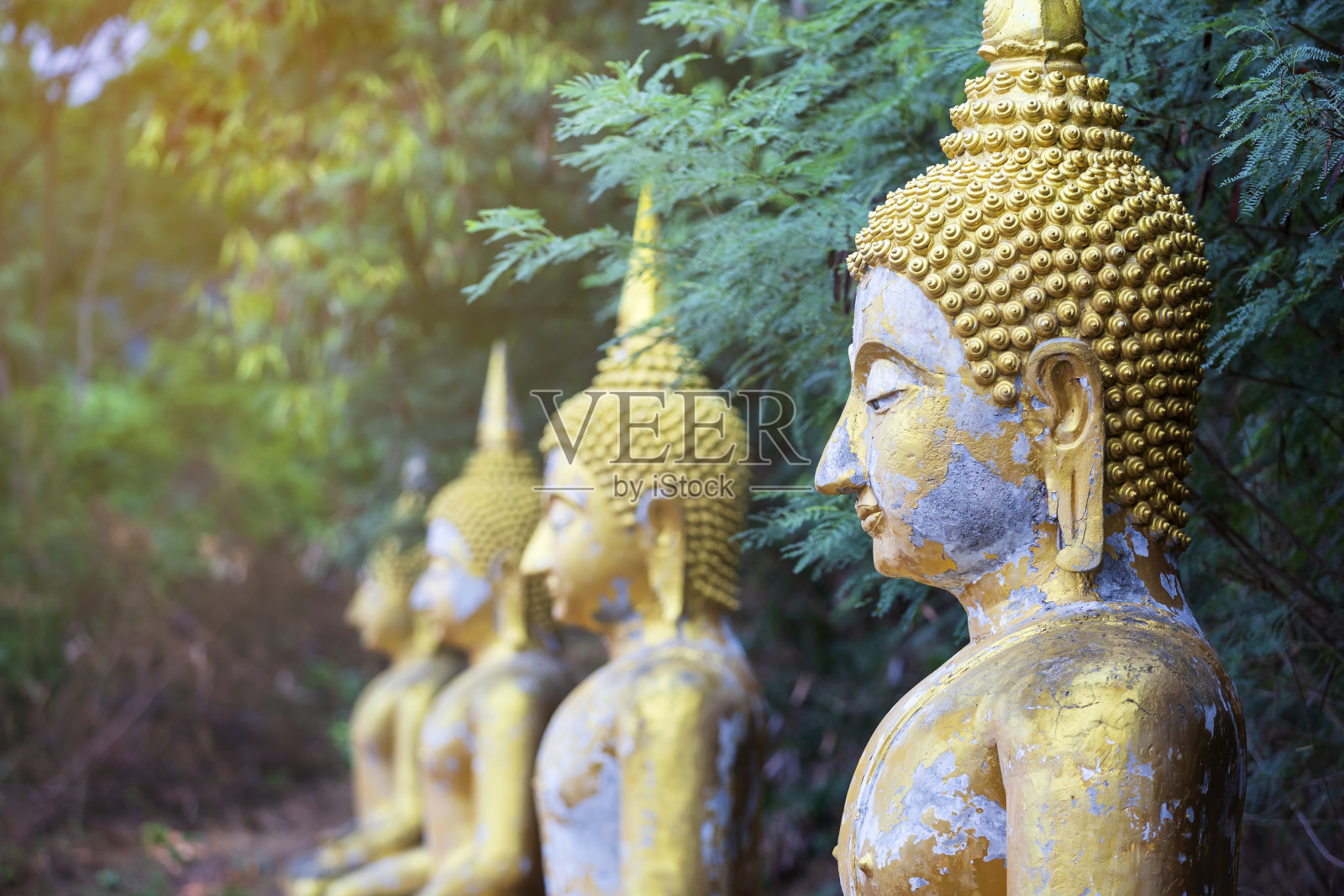 佛像在森林中安静地冥想照片摄影图片