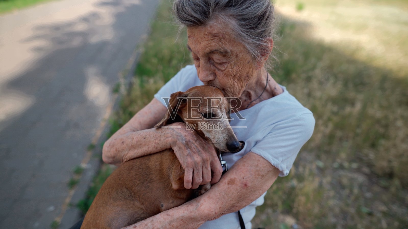 快乐的老年妇女抱着一个小腊肠狗在她的怀里,微笑拥抱,挤压和显示爱她的宠物在公园的长椅上。一位90岁的女性在街上和她最好的宠物朋友度过时光照片摄影图片