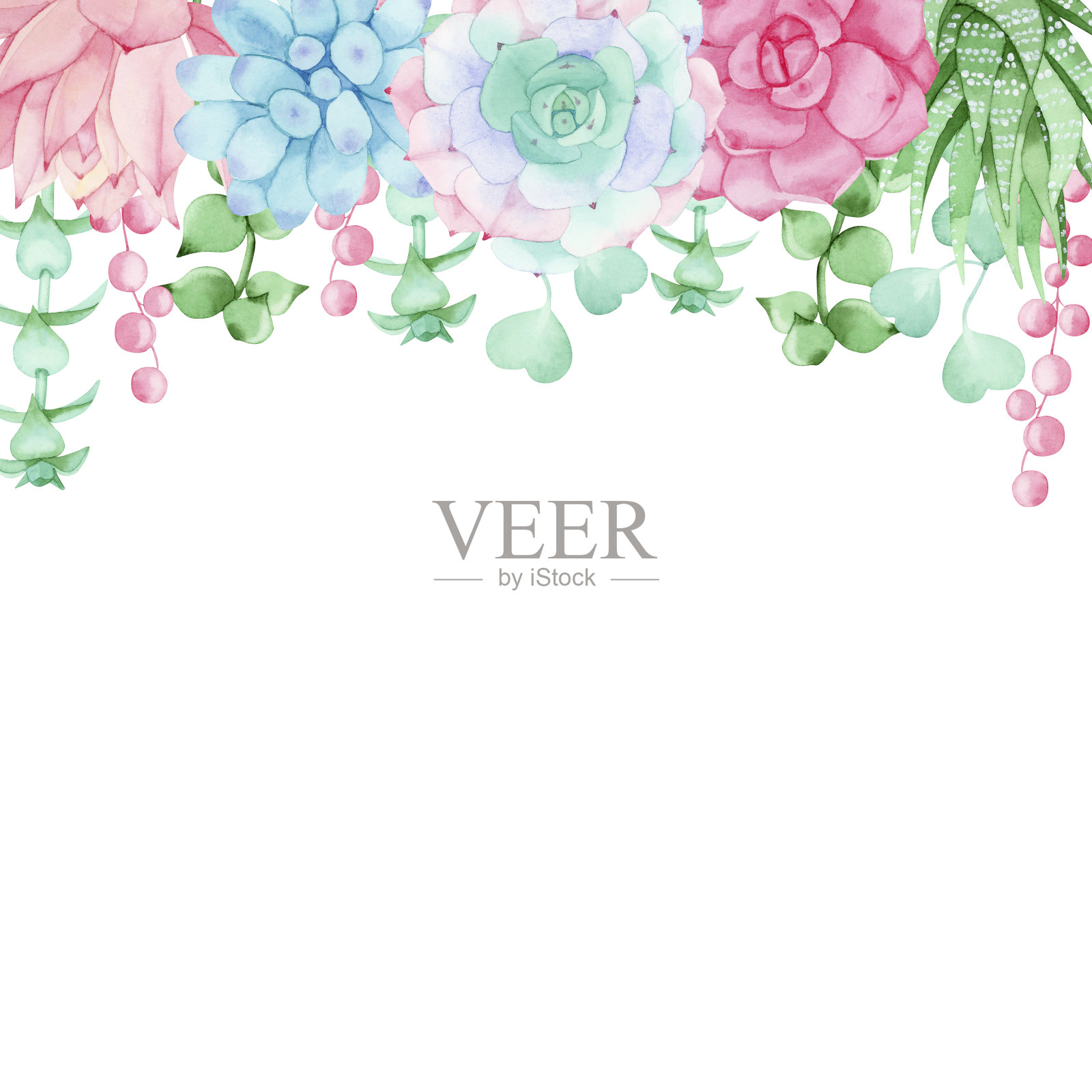 彩色水彩花框边框多肉植物。手绘。完美的婚礼,框架,报价,模板,贺卡,标志,邀请函,字母,其他创意的想法。插画图片素材