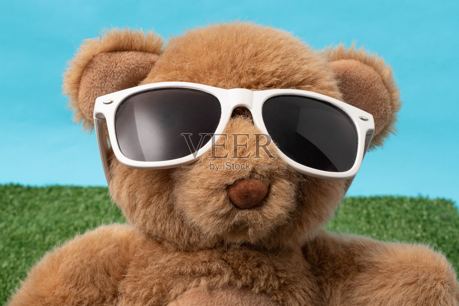 可爱的泰迪熊戴着白色的太阳镜在绿色的草地上照片摄影图片