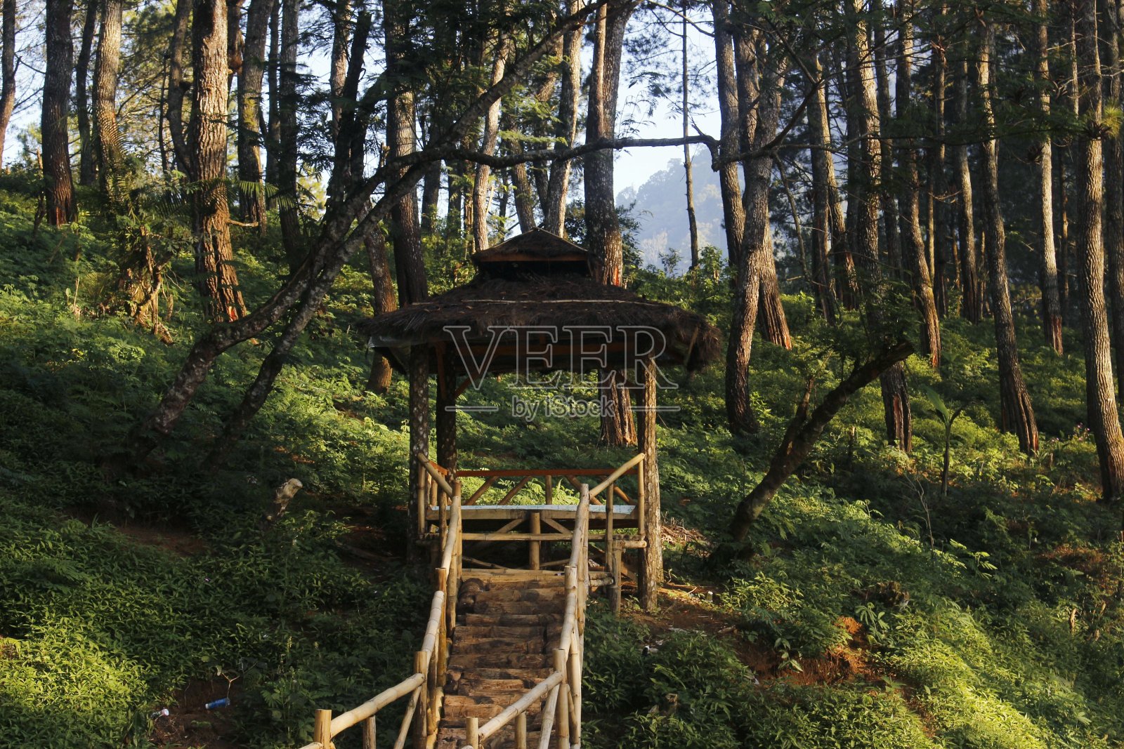 森林里的小屋照片摄影图片