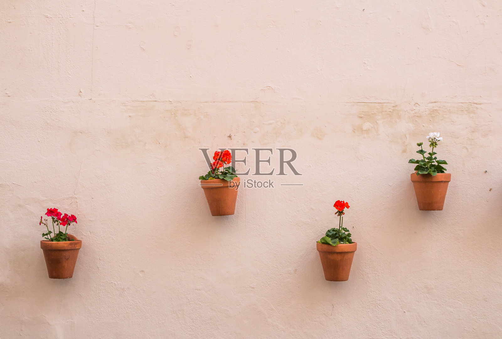 彩色的花盆挂在墙上照片摄影图片