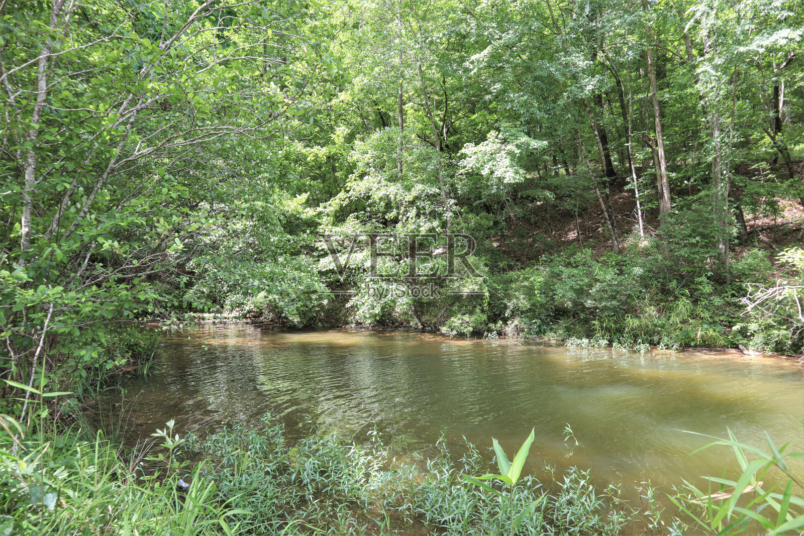 隐蔽的湖入口照片摄影图片