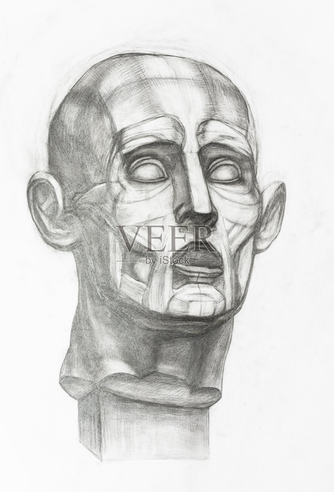 铅笔手绘的石膏人头像插画图片素材
