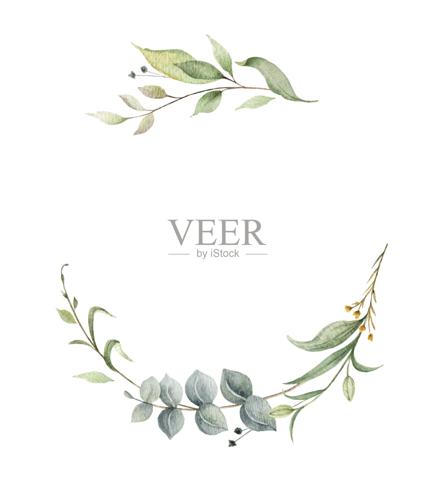 水彩圈绿桉树设计元素图片