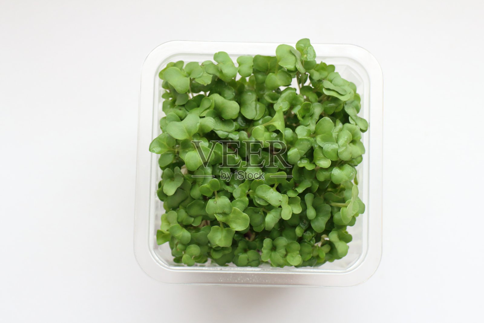 从上面直接看到花椰菜芽照片摄影图片