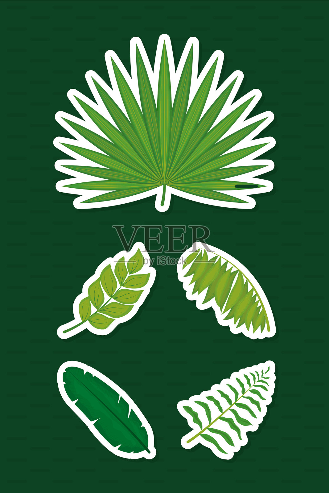 热带叶组插画图片素材