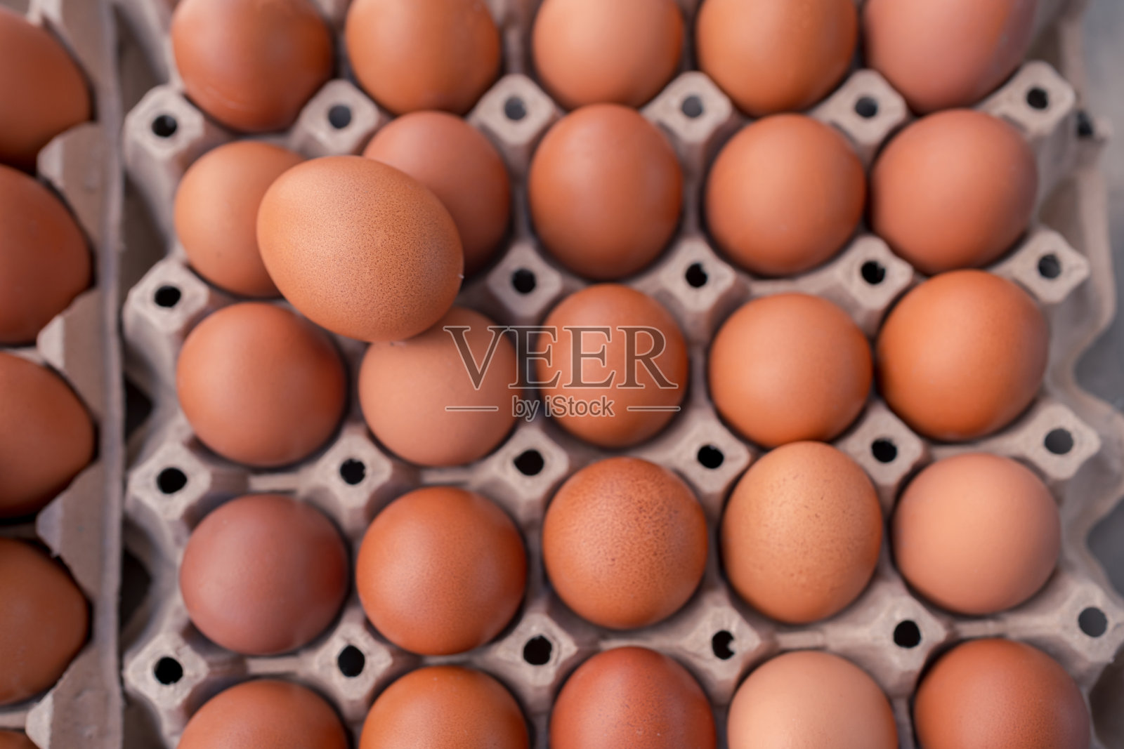 选择性聚焦鸡蛋在鸡蛋纸盘容器上照片摄影图片