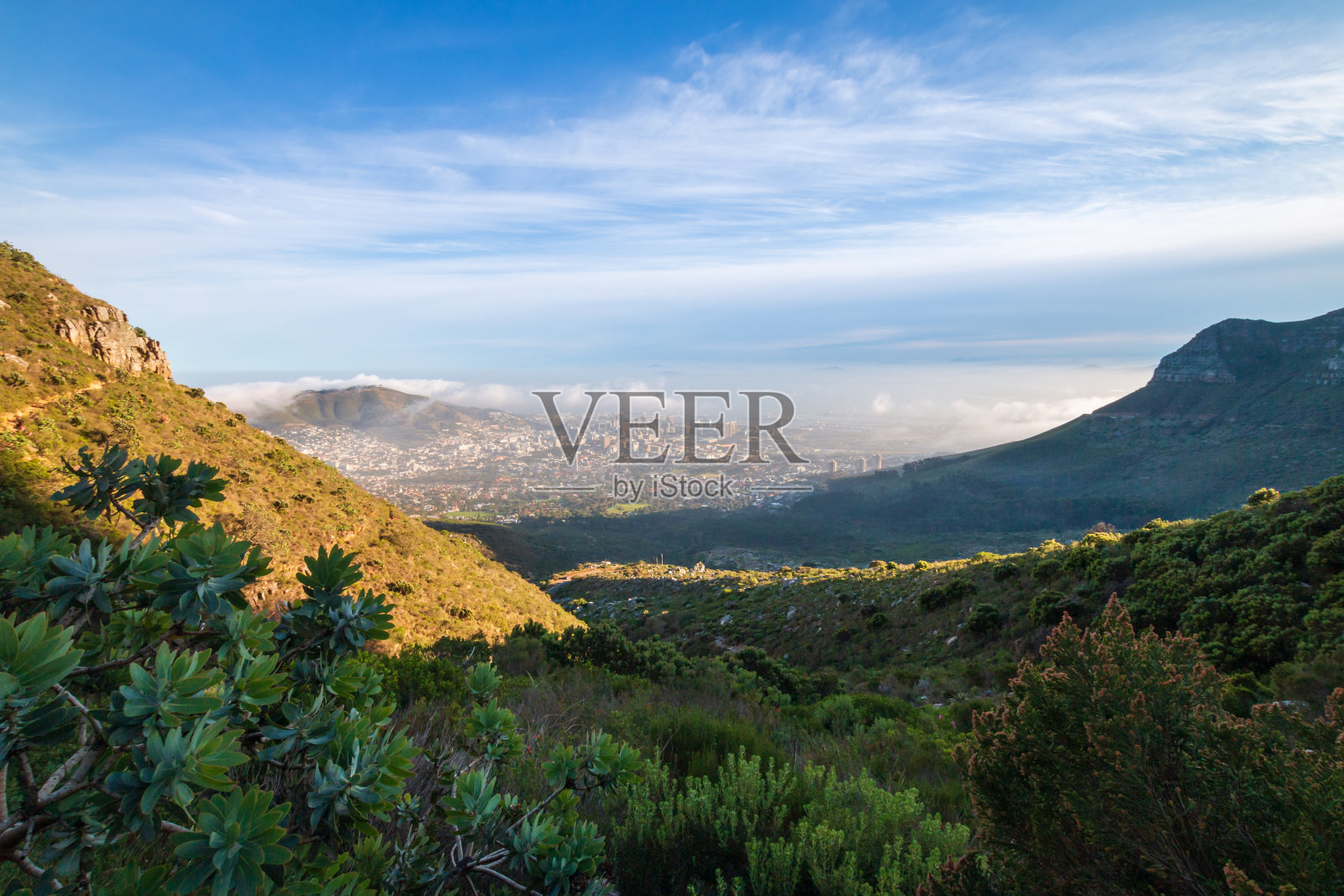 从普拉特克利普峡谷徒步旅行路线在桌山与狮子头的南非开普敦的风景照片摄影图片