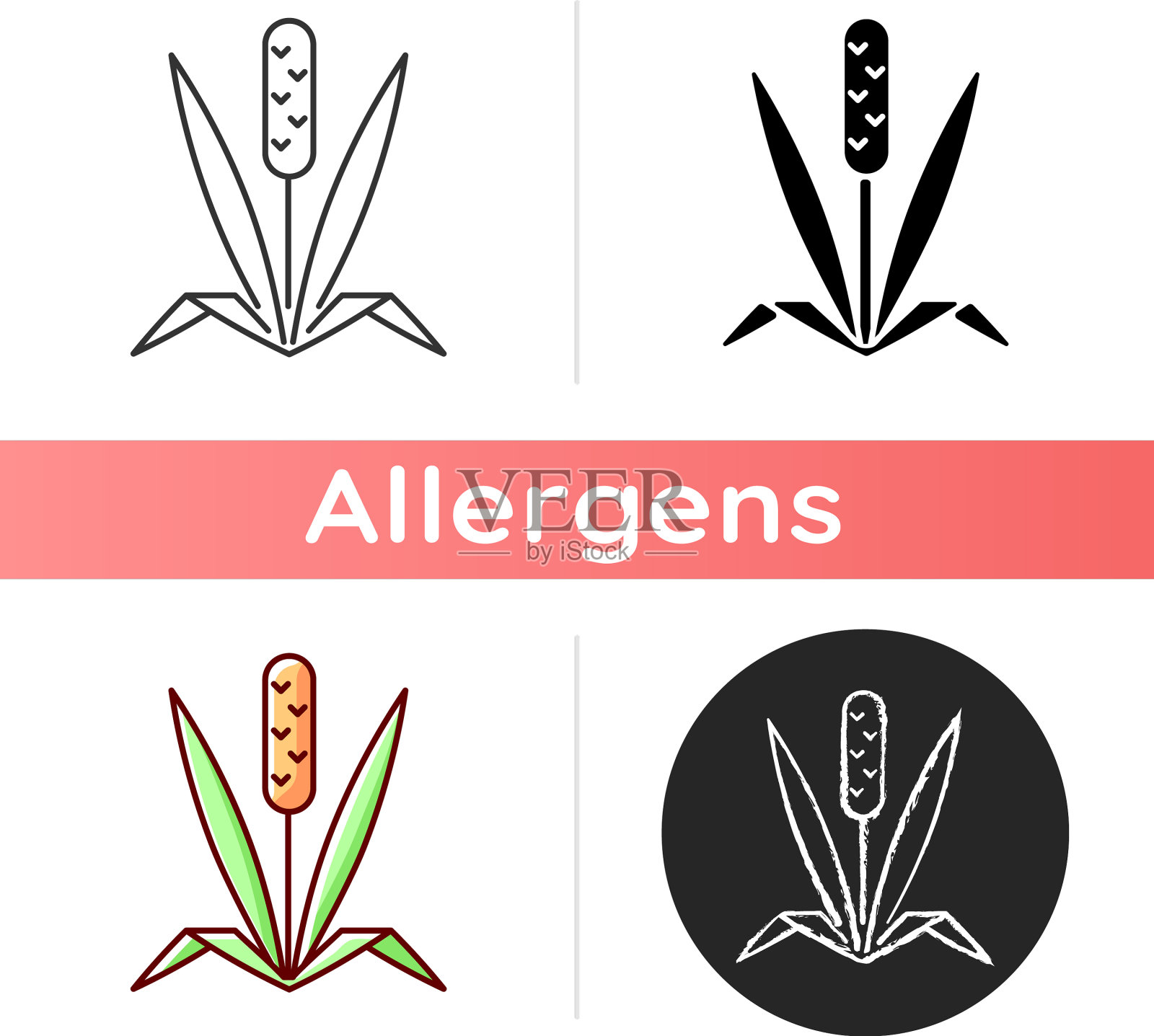 猫尾草图标插画图片素材