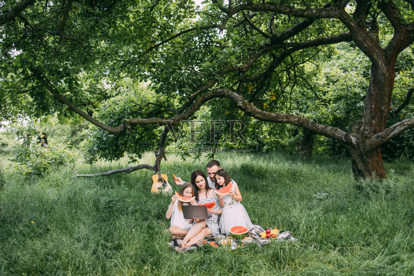 快乐的家庭使用无线笔记本电脑在花园野餐照片摄影图片